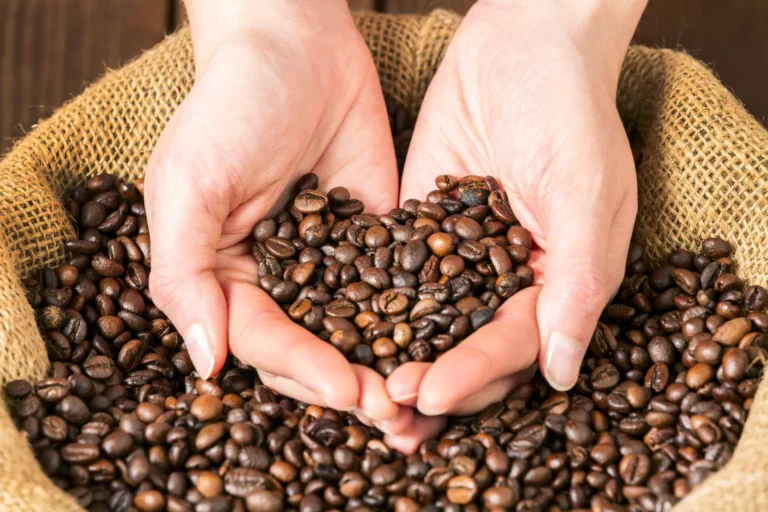 Cómo el café afecta diferentes órganos: Una guía para jardineros amantes del café