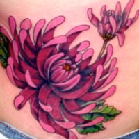 el-crisantemo-en-la-jardineria-y-su-significado-en-los-tatuajes