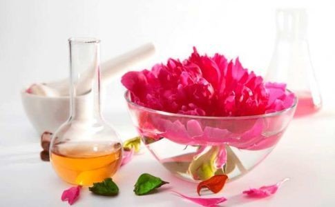 El fascinante proceso de obtención del perfume de las flores en la jardinería