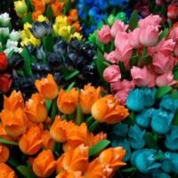 el-lenguaje-de-las-flores-descubre-que-significa-regalar-tulipanes-azules-en-la-jardineria