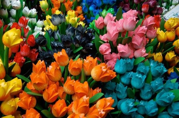 El lenguaje de las flores: descubre qué significa regalar tulipanes azules en la Jardinería