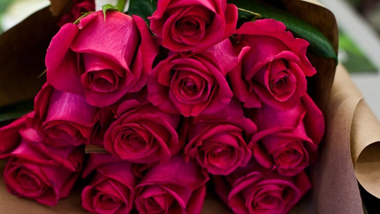 El secreto detrás de una rosa duradera: consejos para prolongar la vida de tus flores