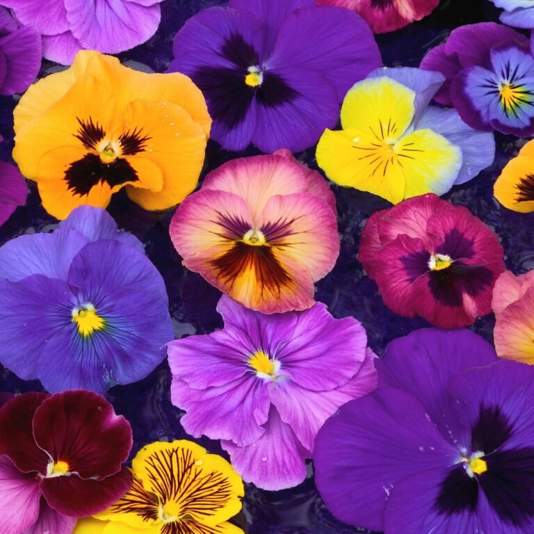 El significado de las flores según su color: ¿Qué tonalidad representa el desprecio en el jardín?