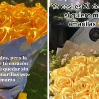 El significado detrás del regalo de flores amarillas en el 21: una tradición llena de simbolismo en la jardinería