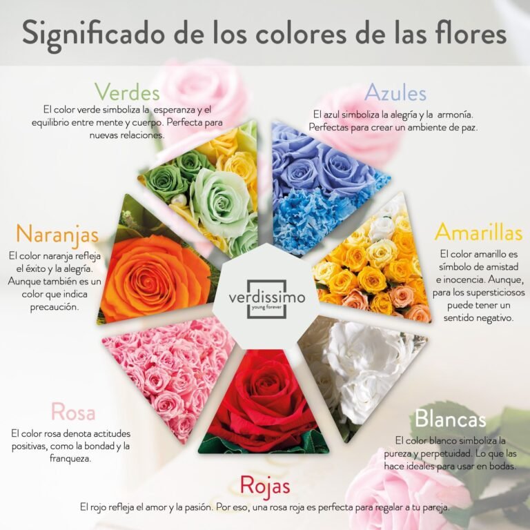 El simbolismo del color rosa en el lenguaje de las flores y su relación con el amor