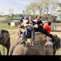 elefantes-disfrutando-en-el-elephant-safari-park