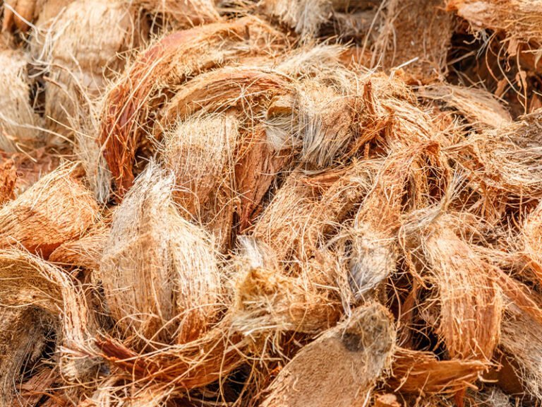 Qué plantas les gusta la fibra de coco