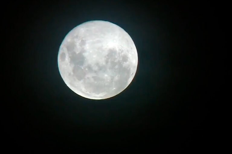 Cómo ver la Luna en vivo hoy: Guía rápida y sencilla