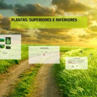 gf5zceykcgi6gtivlr44uykvpl6jc3sachvcdoaizecfr3dnitcq_3_0