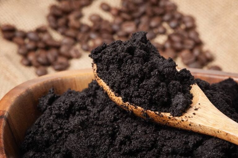 Por qué descalcificar el café mejora la salud de tus plantas