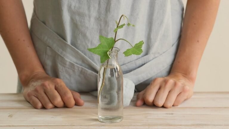 Guía completa: Cómo hacer un esqueje en agua para multiplicar tus plantas