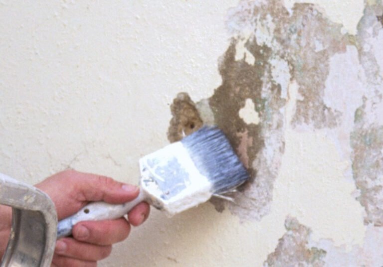 Cómo evitar que vuelva a salir moho en las paredes