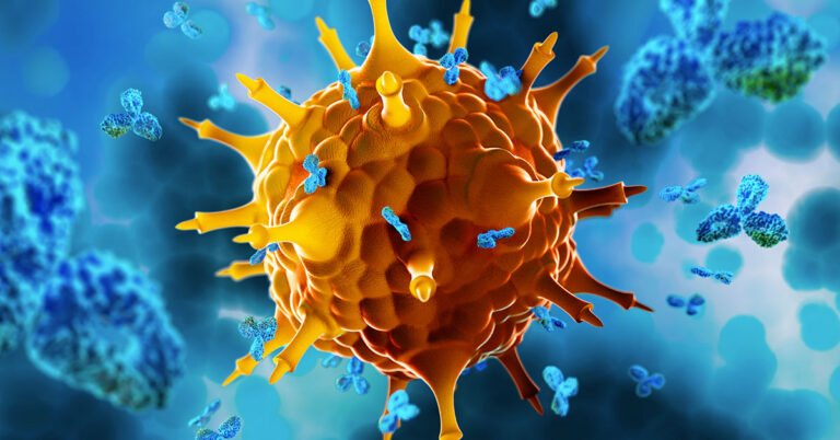 Sistema inmunológico: funcionamiento, enfermedades y tratamientos