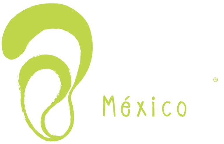 Dónde encontrar fundaciones para implante coclear en México