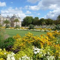 décorations florales estivales, jardin du Luxembourg, Paris 6e