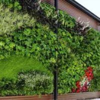 jardin-vertical-muros-verdes