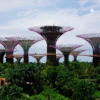 jardines_botanicos_singapur