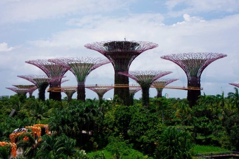 Cuáles son los 7 jardines botánicos más grandes del mundo