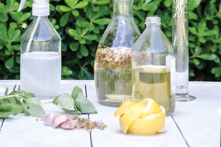 La guía completa sobre cómo extraer aceite de nardo para tus plantas y jardín