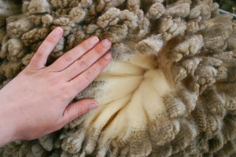 Qué diferencia hay entre lana y lana merino