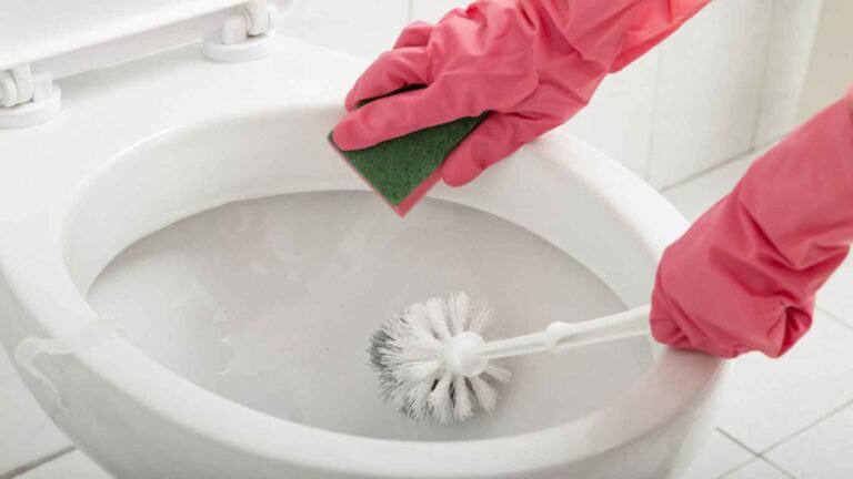 Cómo elegir el mejor cepillo para limpiar el baño