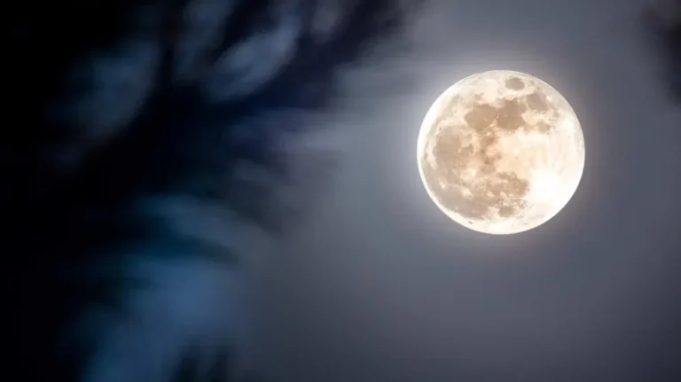 Cómo realizar rituales de amor durante la luna llena