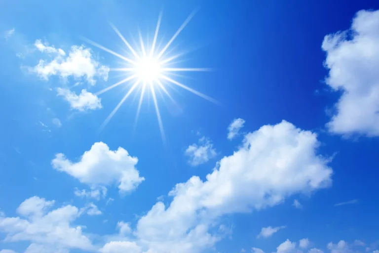 Cuánto Sol Necesita la Azalea: Guía Completa para su Cuidado