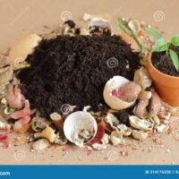 Qué materiales son adecuados para una composta casera monton-de-residuos-organicos-para-compostaje