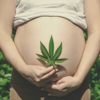 mujer-embarazada-evitando-fumar-marihuana