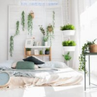 no-es-recomendable-dormir-con-plantas-en-la-habitacion-consejos-para-un-sueno-saludable