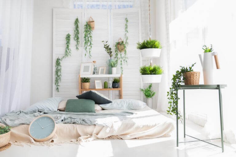 No es recomendable dormir con plantas en la habitación: consejos para un sueño saludable