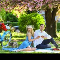 pareja-disfrutando-de-un-picnic-romantico
