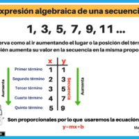 patron-de-sucesion-matematica-con-expresiones-algebraicas