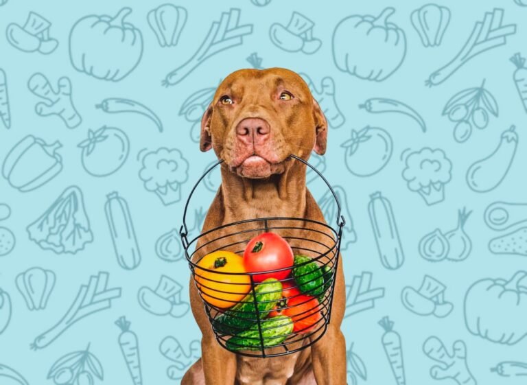 Qué frutas y verduras pueden comer los perros