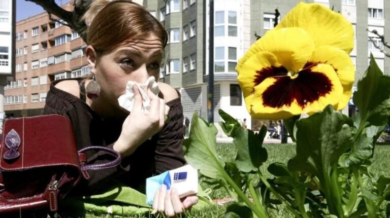 Por qué no paro de estornudar y moquear: causas comunes