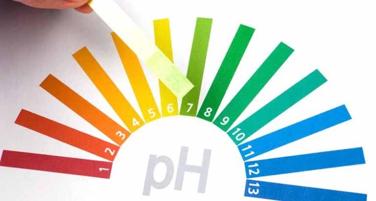 Cuál es el pH de Pantene: Impacto en la salud del cabello y nutrición capilar