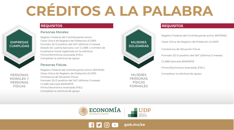 Qué apoyos existen para pequeñas y medianas empresas en México