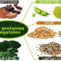 proteinas-vegetales