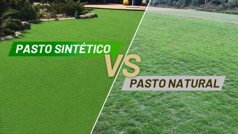 ¿Qué diferencia hay entre el pasto y el césped?