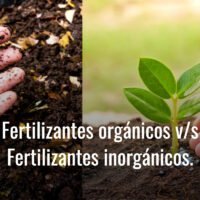 que-es-mejor-fertilizante-natural-o-artificial