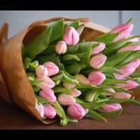 ramos-tulipanes