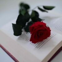 rosa-con-libro