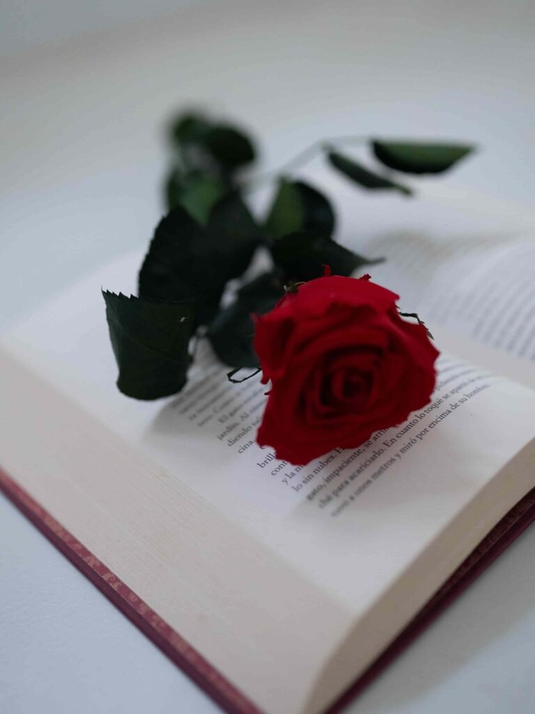 Qué significa que te regalen una rosa en Sant Jordi