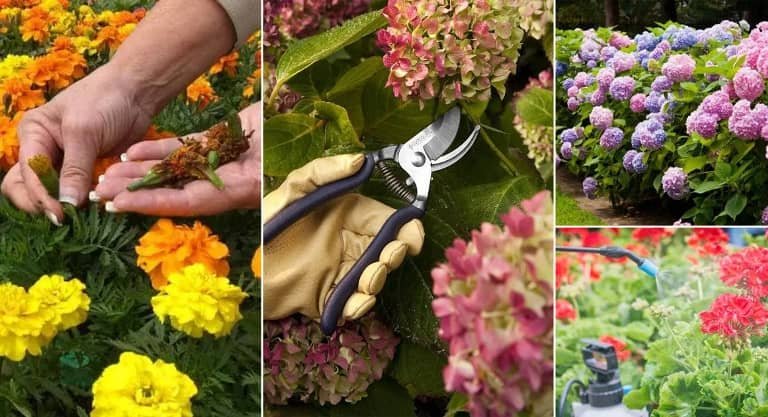 Secretos para una floración exuberante: Qué nutrientes necesitan tus plantas para florecer