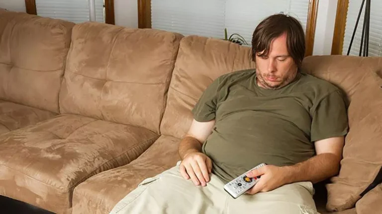 Cuánto tiempo dura el sofá: implicaciones nutricionales y de salud