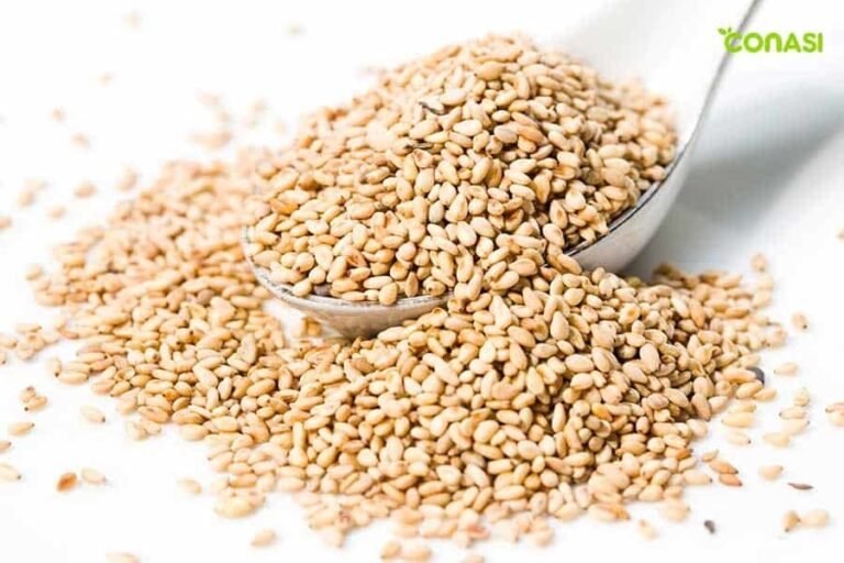 Diferencias entre el aceite de semilla de sésamo y el tostado