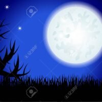 silueta-de-luna-sobre-un-paisaje-nocturno