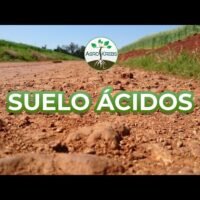 suelos-acidos