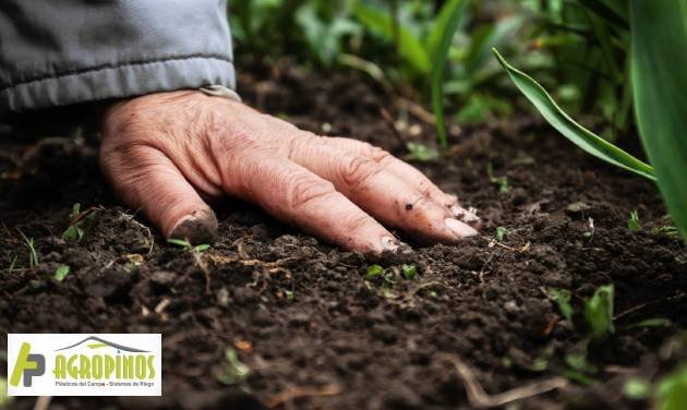 Cómo cuidar el suelo de tu jardín: 10 ejemplos prácticos