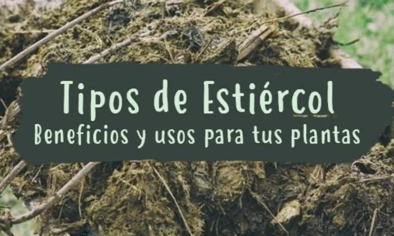 Qué tan bueno es el abono de borrego para las plantas